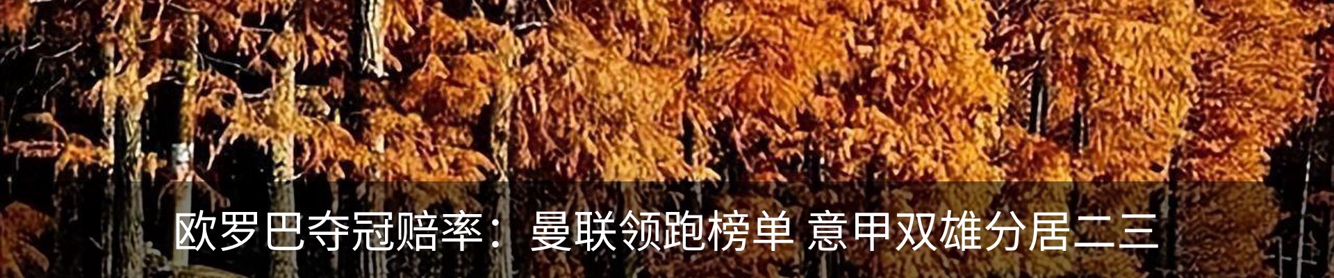 内页banner