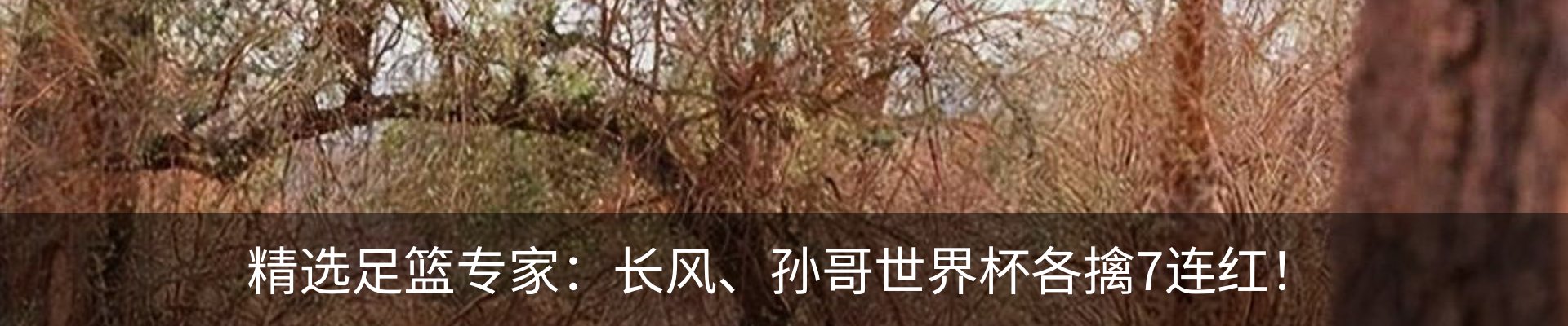 内页banner
