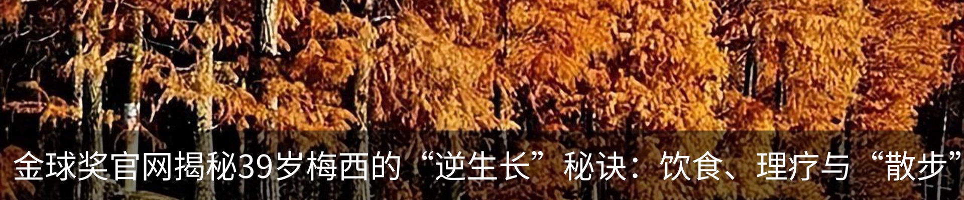 内页banner