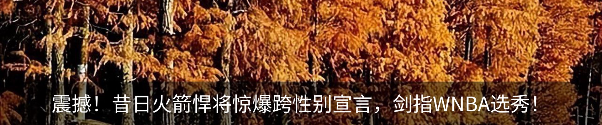 内页banner