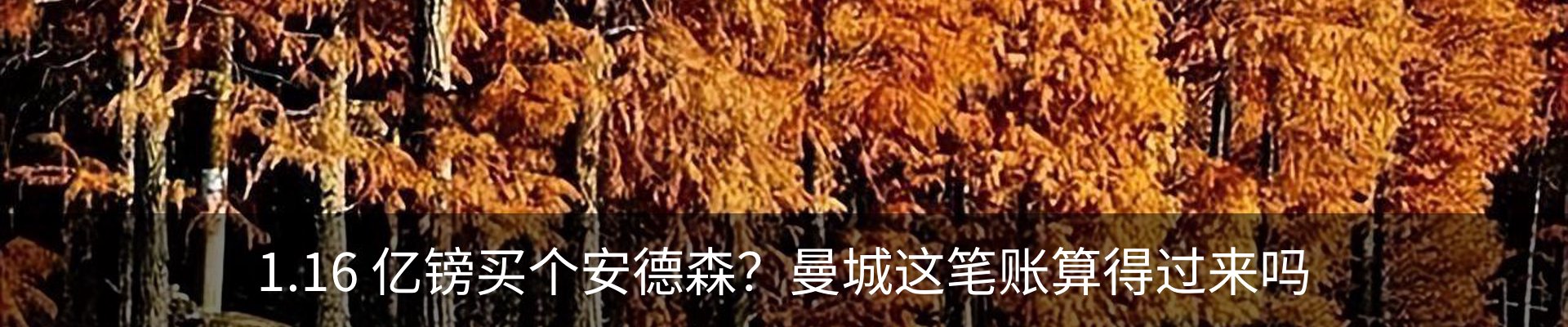 内页banner